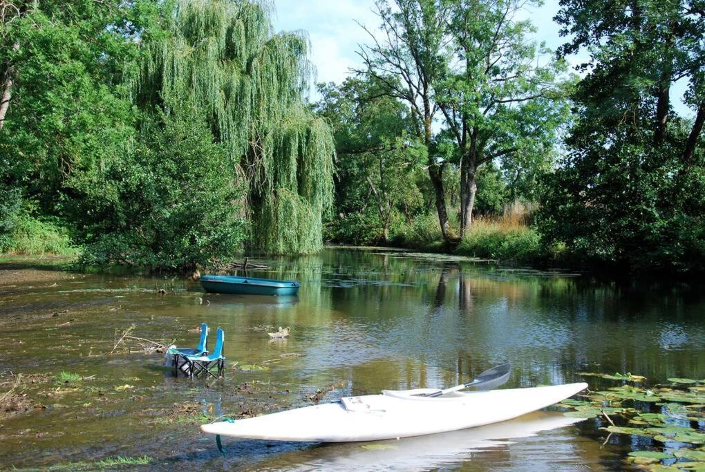 Magnifique Moulin Proche Chablis, Jacuzzi Et Riviere Villa Annay-sur-Serein Luaran gambar