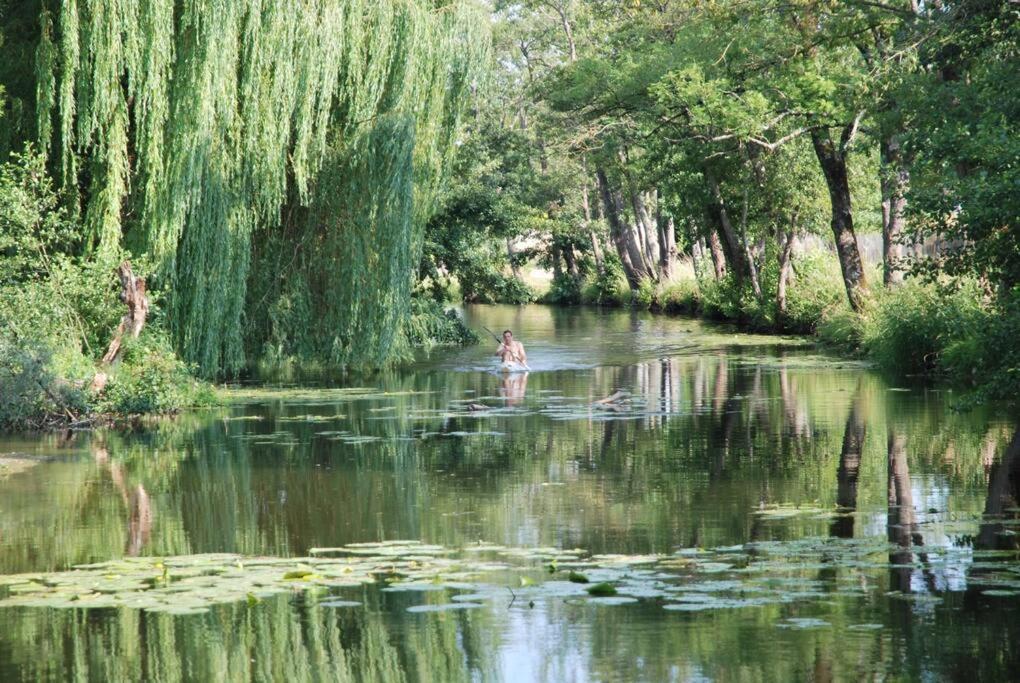 Magnifique Moulin Proche Chablis, Jacuzzi Et Riviere Villa Annay-sur-Serein Luaran gambar
