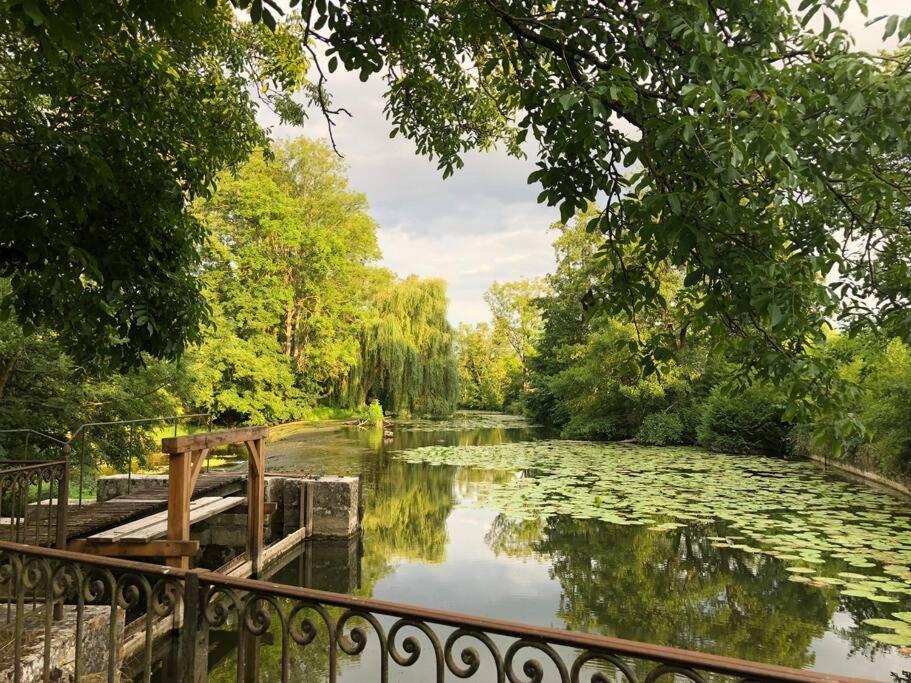 Magnifique Moulin Proche Chablis, Jacuzzi Et Riviere Villa Annay-sur-Serein Luaran gambar